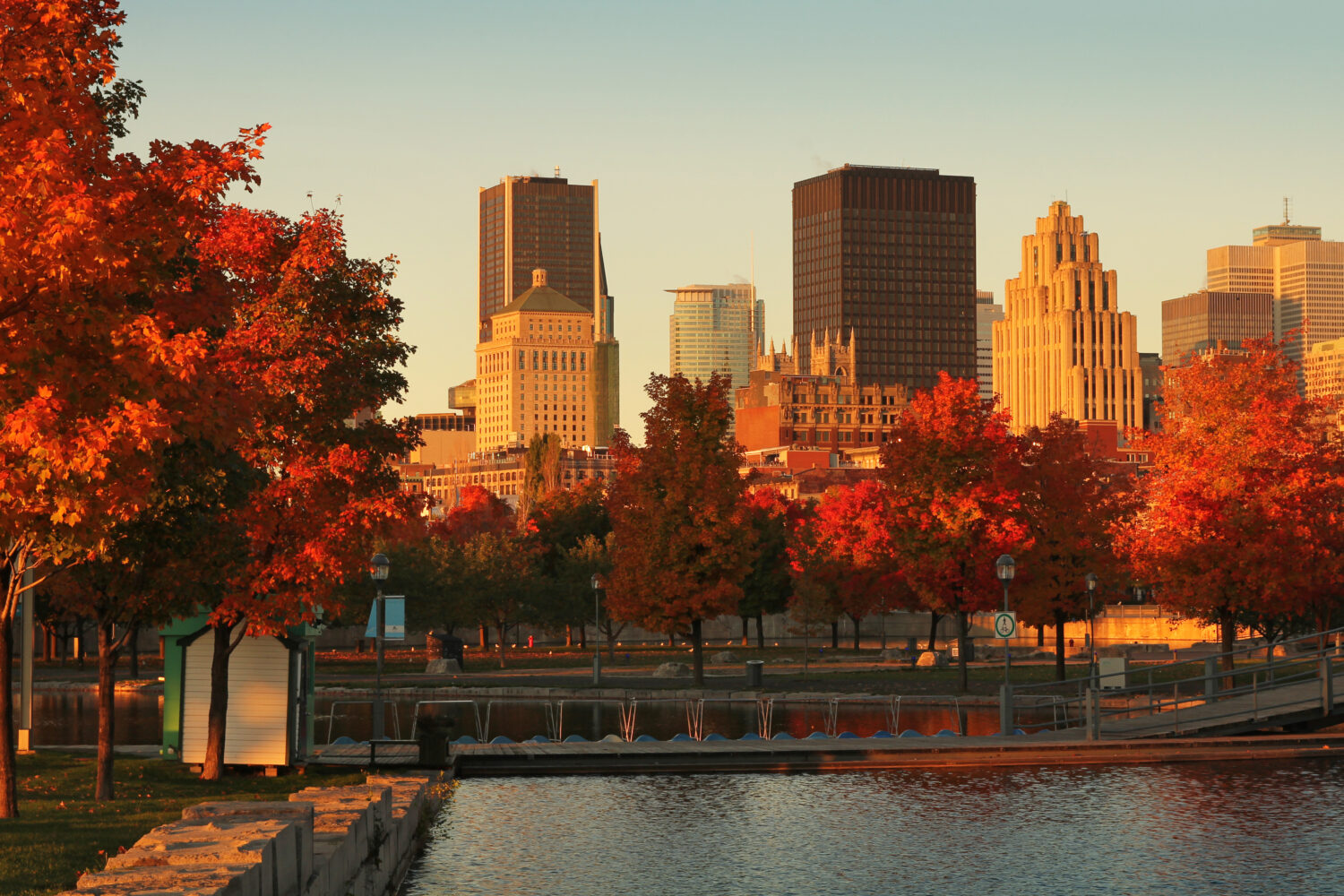 Montréal automne